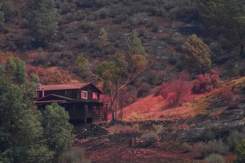 Trump Signs Order To Accelerate California Wildfire Rebuilding; Newsom Demands Federal Aid