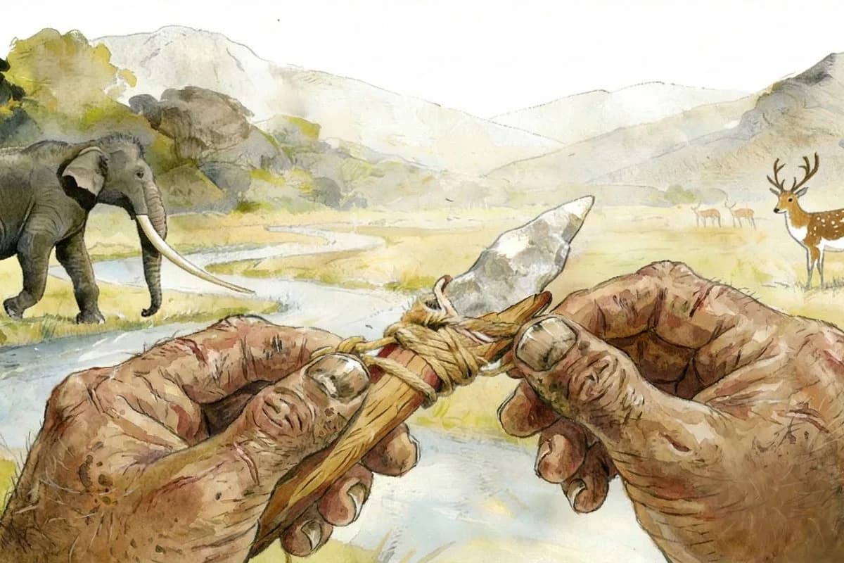 Xigou Discovery: Hafted Tools Reveal Advanced Prehistoric Technology in Central China