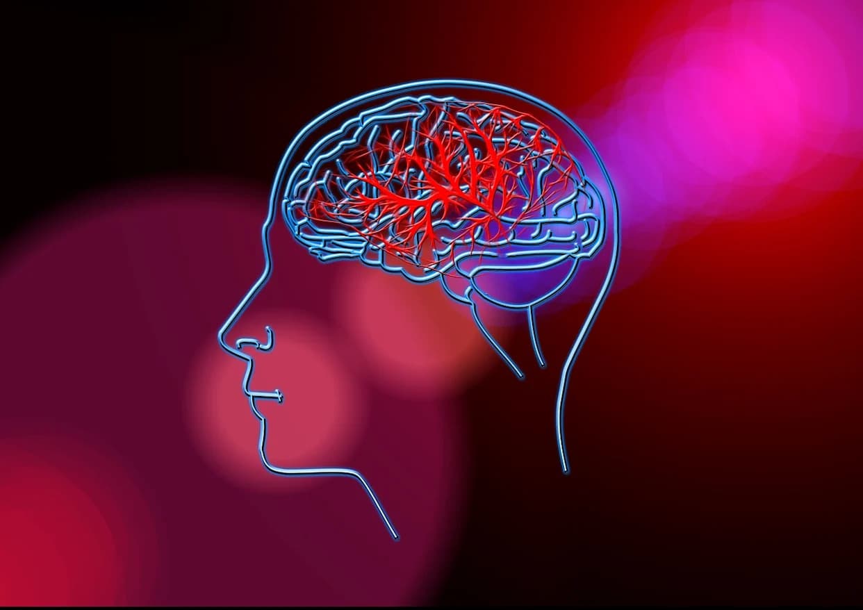 Injectable 'Dancing Molecules' Could Repair Stroke Damage During Reperfusion