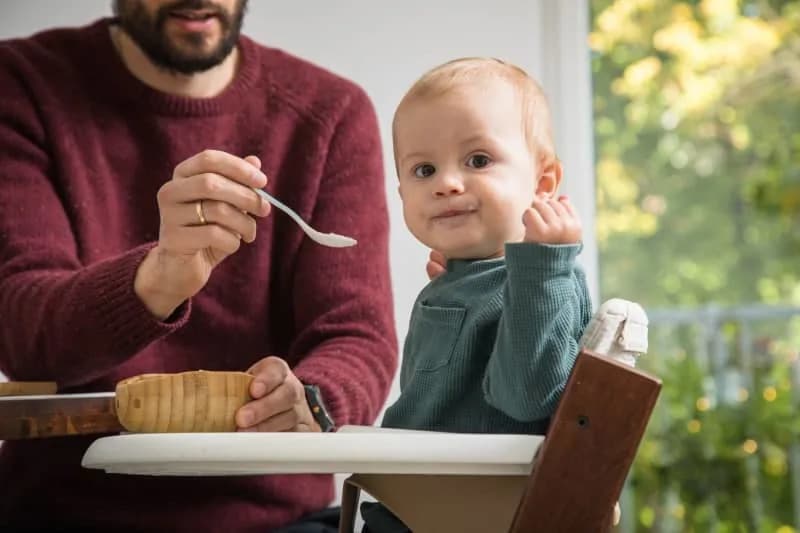 Landmark Analysis Links Early Antibiotics and Delayed Introduction of Nuts/Eggs to Rising Food Allergy Risk