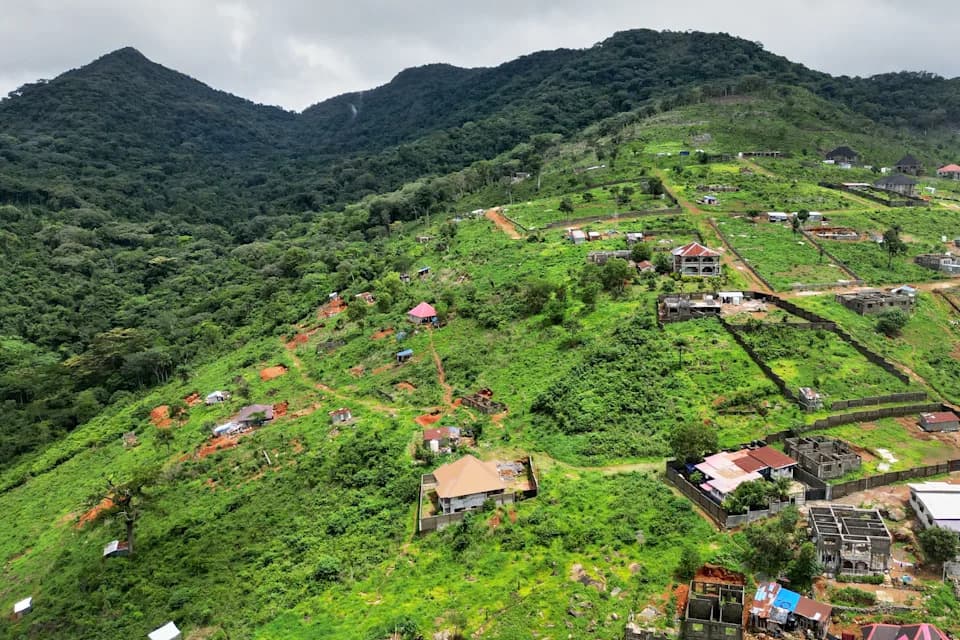 Exclusive Investigation: Senior Officials Enabled Luxury Mansions Inside Sierra Leone’s Western Area Peninsula National Park