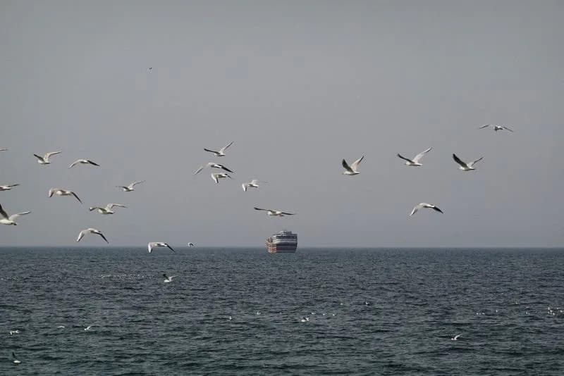 Iran Declares Strait Of Hormuz Closed, Warns It Will Fire On Any Vessel