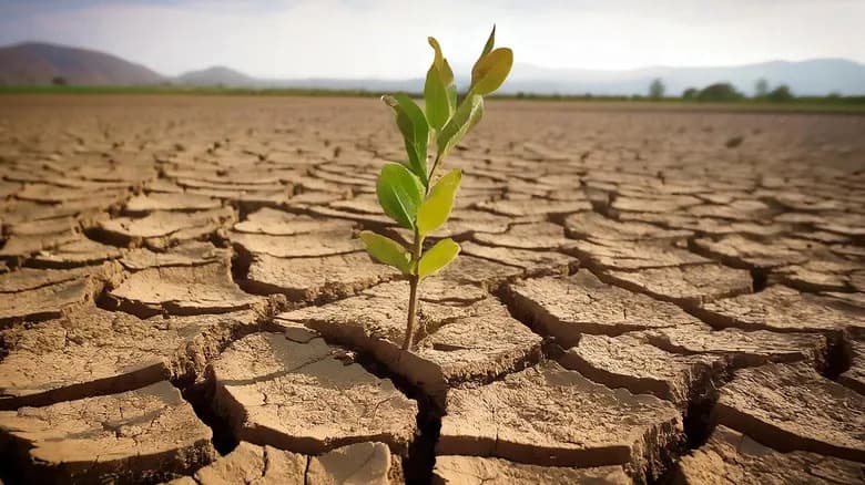 China’s 60-Year Strategy: Using Microbial Crusts to Turn Desert Sand into Soil