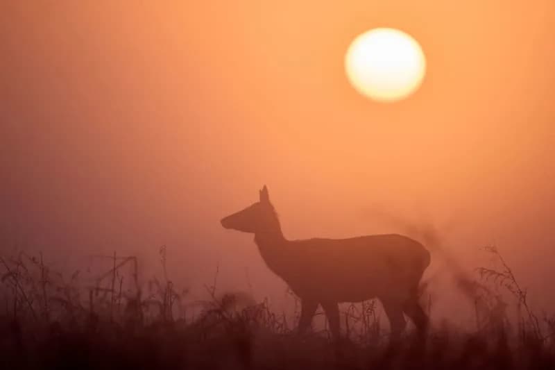 February Was The Fifth-Warmest On Record — Even As Much Of Europe Went Through A Cold Spell