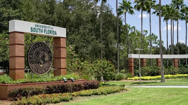 USF Research Funding Rises 15% to $531M, Fueling Advances in Alzheimer’s, Nursing and Lunar Tech