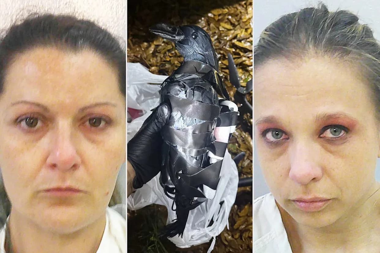 Drone and Fake Crow Decoys Used in Alleged $40,000 Prison Smuggling Plot — Two Texas Women Arrested