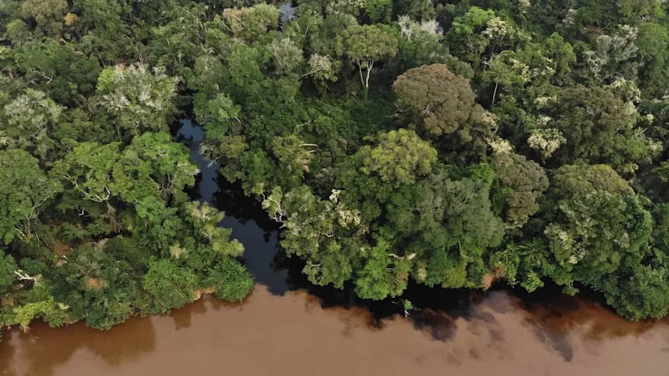 Congo Basin 'Blackwater' Lakes Are Releasing Millennia‑Old Carbon — Could Peatlands Flip From Sink To Source?