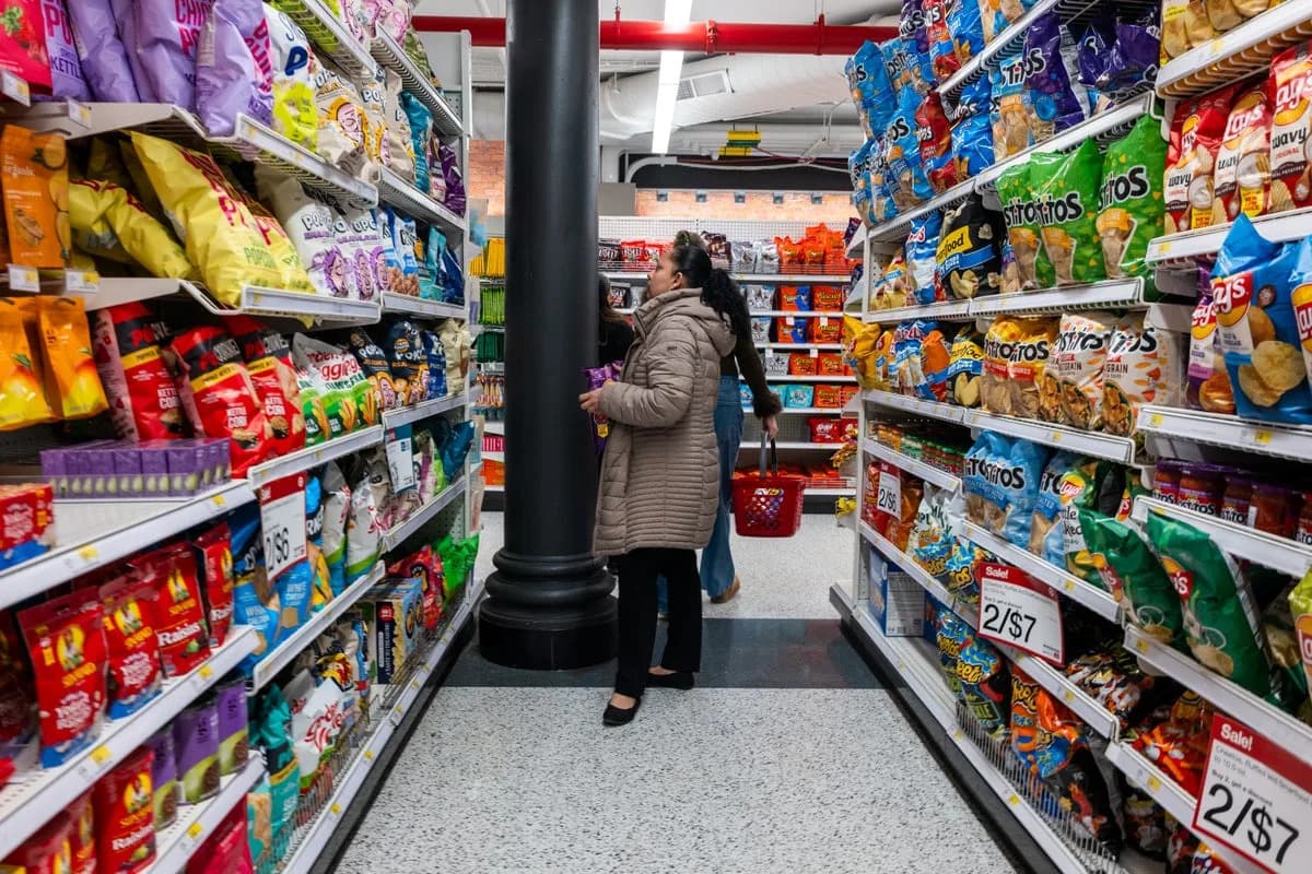 High-Fat Diets May Let Gut Bacteria Travel to the Brain via the Vagus Nerve, Mouse Study Finds