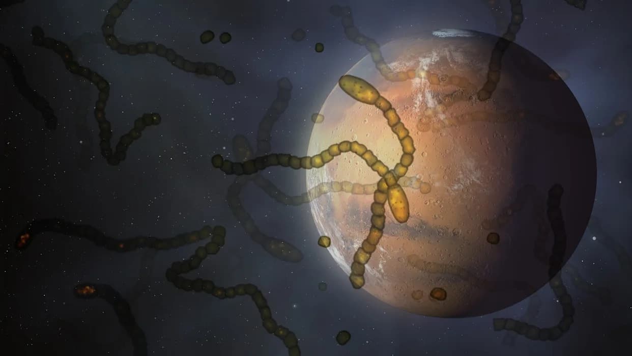 Microbe Survives Rock‑Shattering Pressure — New Experiment Strengthens Case For Lithopanspermia