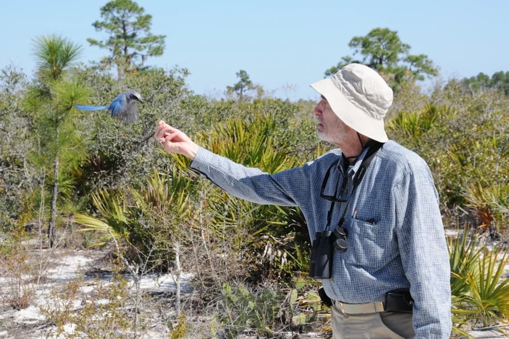 Paul Ehrlich, Provocative Environmental Scientist, Dies at 86 — A Life Spent Warning About Population and Consumption