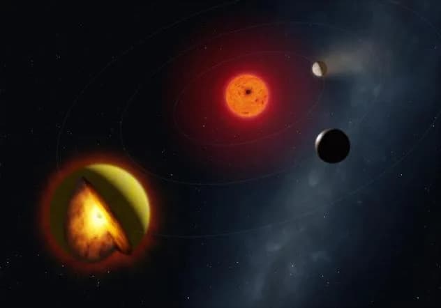JWST Reveals a 'Sulfur World': L 98-59 d May Be a Rotten-Egg–Scented Magma Planet
