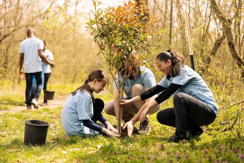 Planting Trees Helps — But Location, Not Just Numbers, Determines Climate Benefit