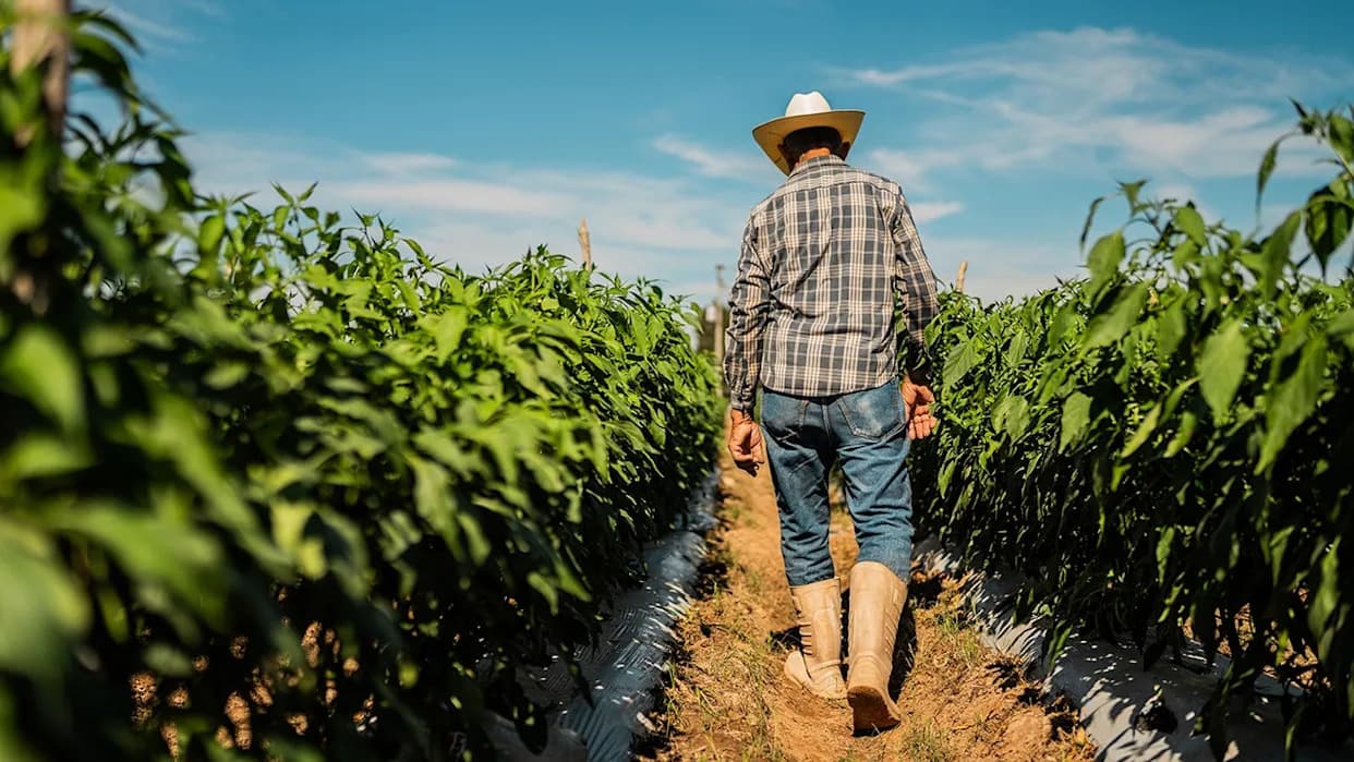 UCLA Study Links Common Pesticide Chlorpyrifos to >2.5× Higher Parkinson’s Risk