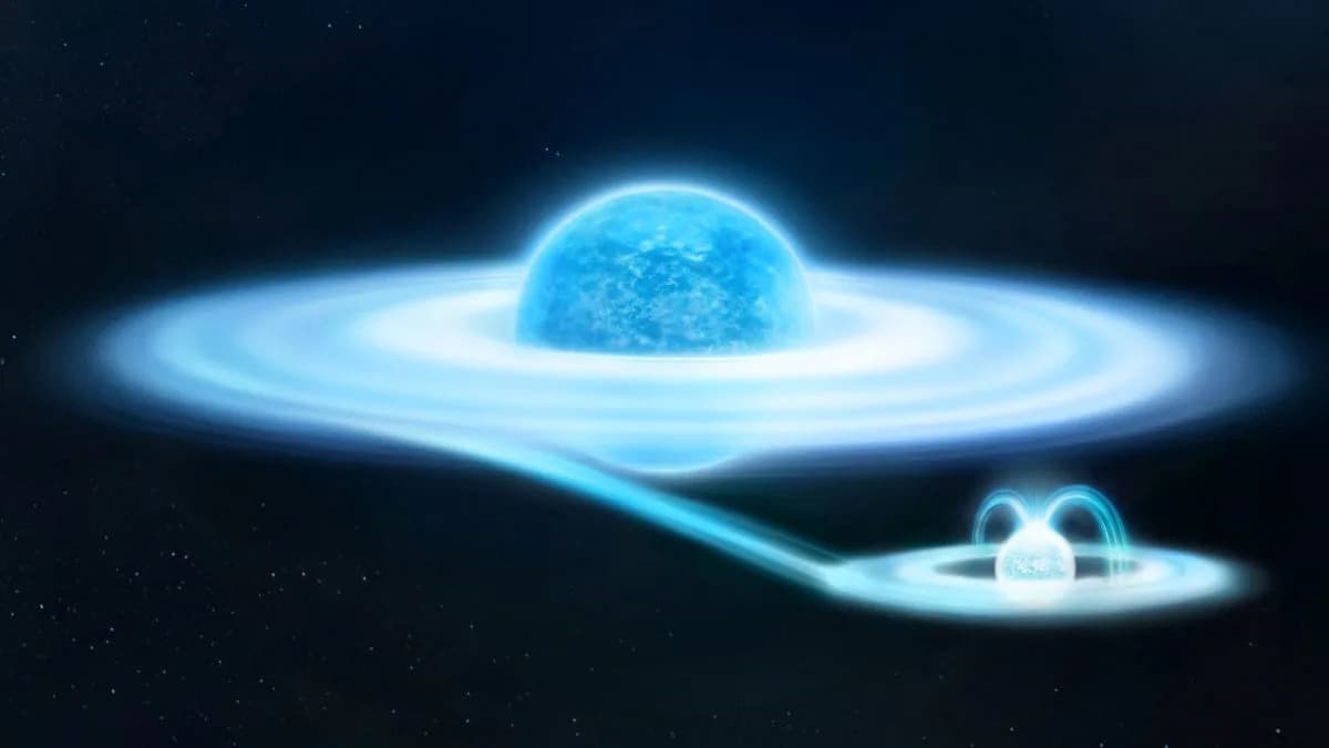 50-Year Mystery Solved: Gamma Cassiopeiae's X-Rays Traced to a White Dwarf