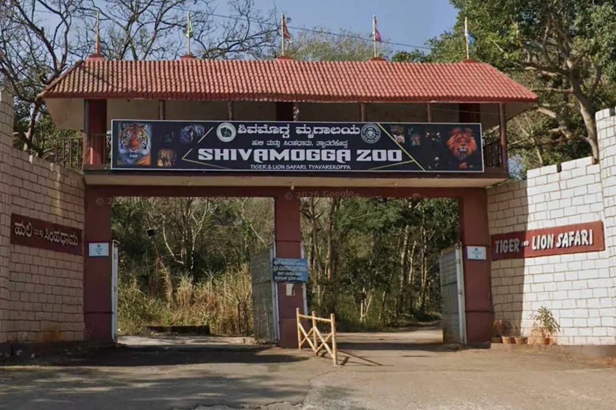 Trainee Veterinarian, 27, Killed by Pregnant Hippo at Shivamogga Safari — Investigation Underway
