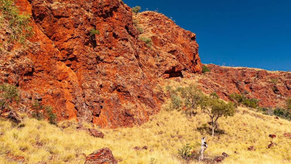 Earliest Direct Evidence: Plate Tectonics Active 3.5 Billion Years Ago