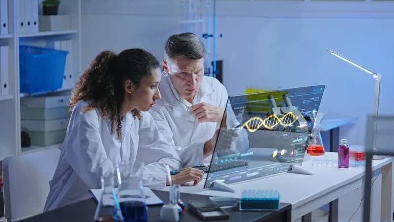 Genome Builds Its 3D Blueprint Before Genes Switch On, New Study Finds