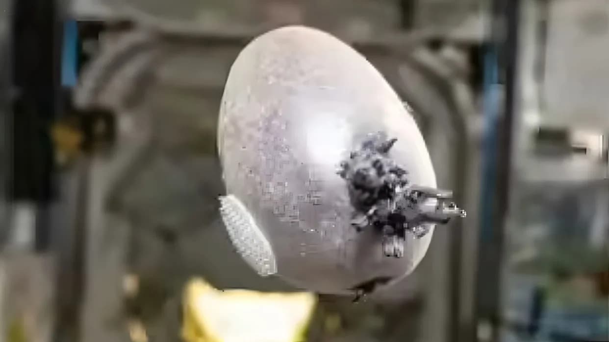 NASA Astronaut’s Viral “Alien Space Egg” Photo Was Actually a Space-Grown Potato