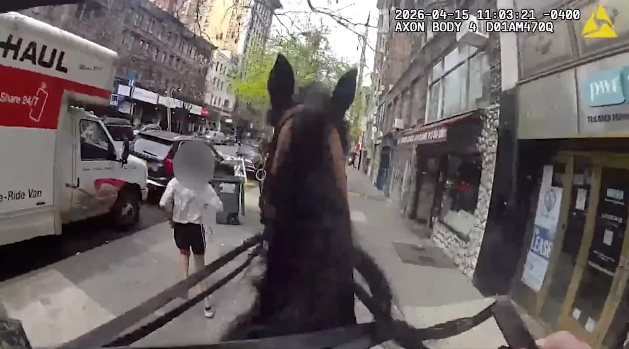 WATCH: Mounted NYPD Officer and Horse Kelly Chase Down Purse Snatcher on Manhattan Sidewalk