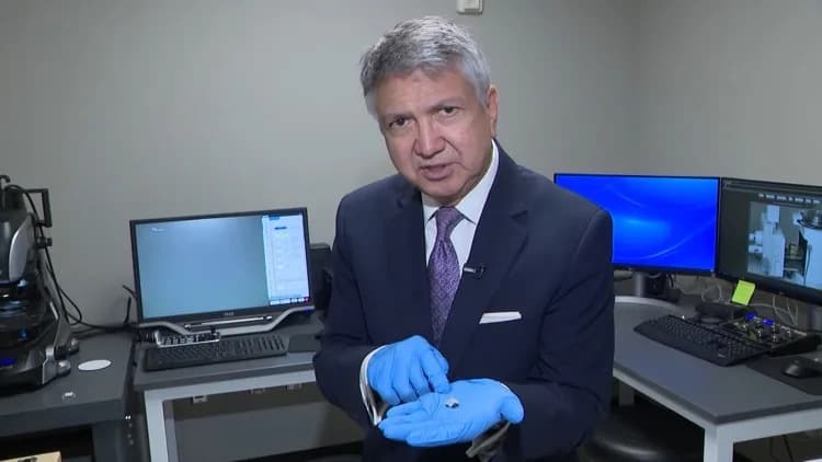Houston Meteorite Fragments at Rice University Could Reveal Solar System’s Origins