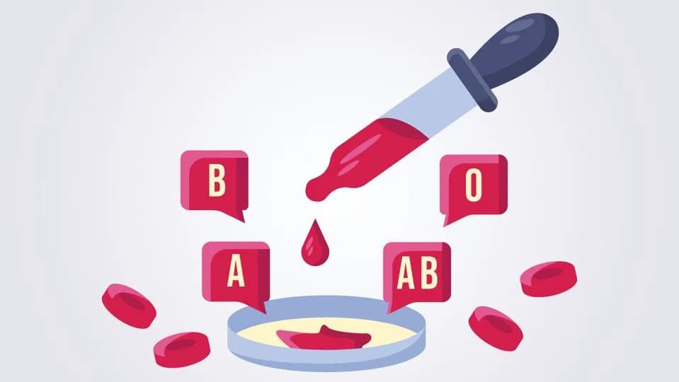 Why Humans Still Have Multiple Blood Types — An Ancient Evolutionary Puzzle