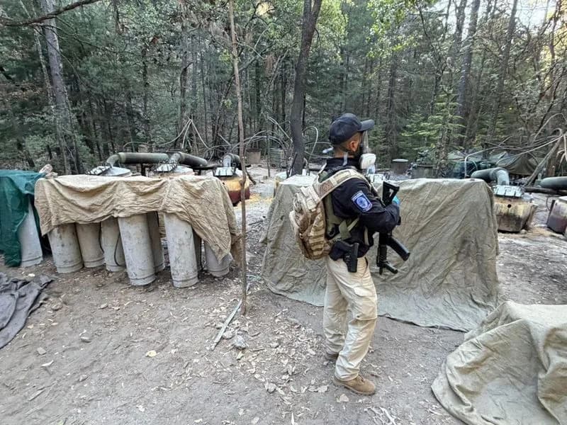 Sheinbaum Orders Review After Crash Kills U.S. Embassy Staff and Mexican Officers in Chihuahua