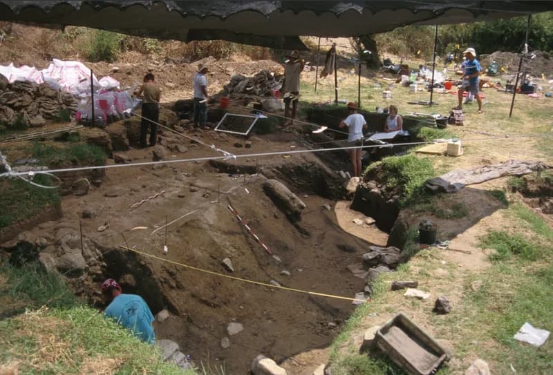 Ancient Charcoal at Gesher Benot Yaʿaqov Reveals 780,000-Year-Old Fire Use and Settlement Choices