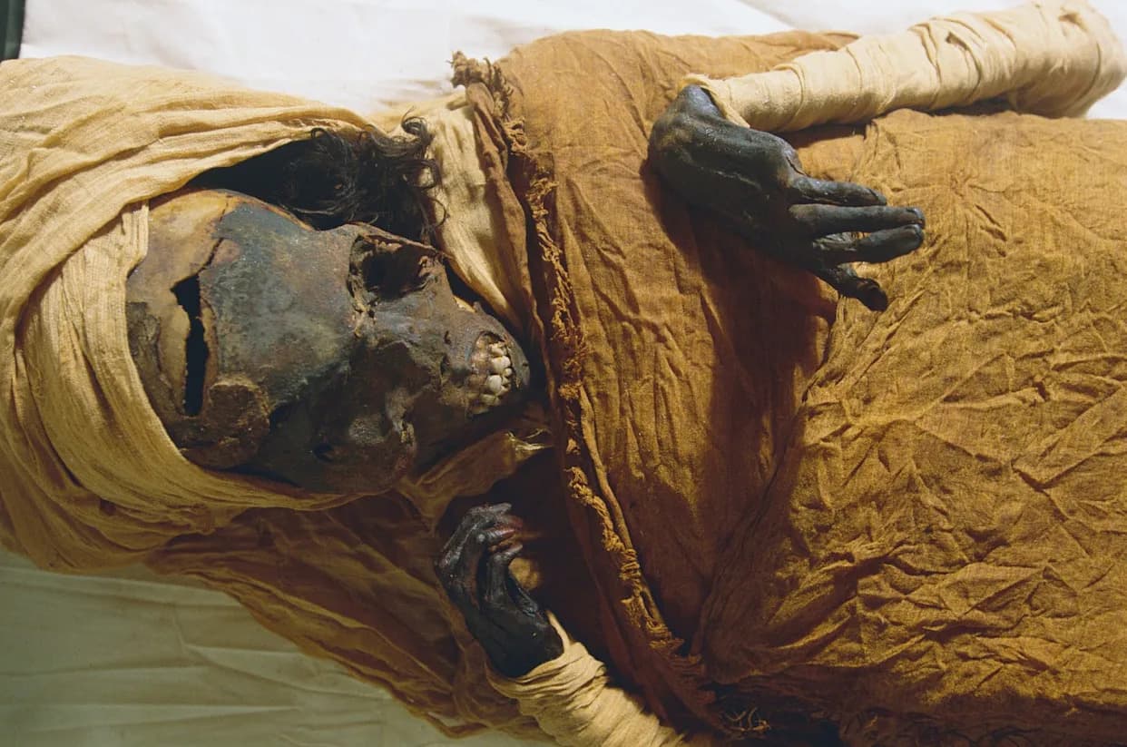 Fragment of Homer's Iliad Found Inside a Mummy at Al-Bahnasa Illuminates Cultural Crossovers