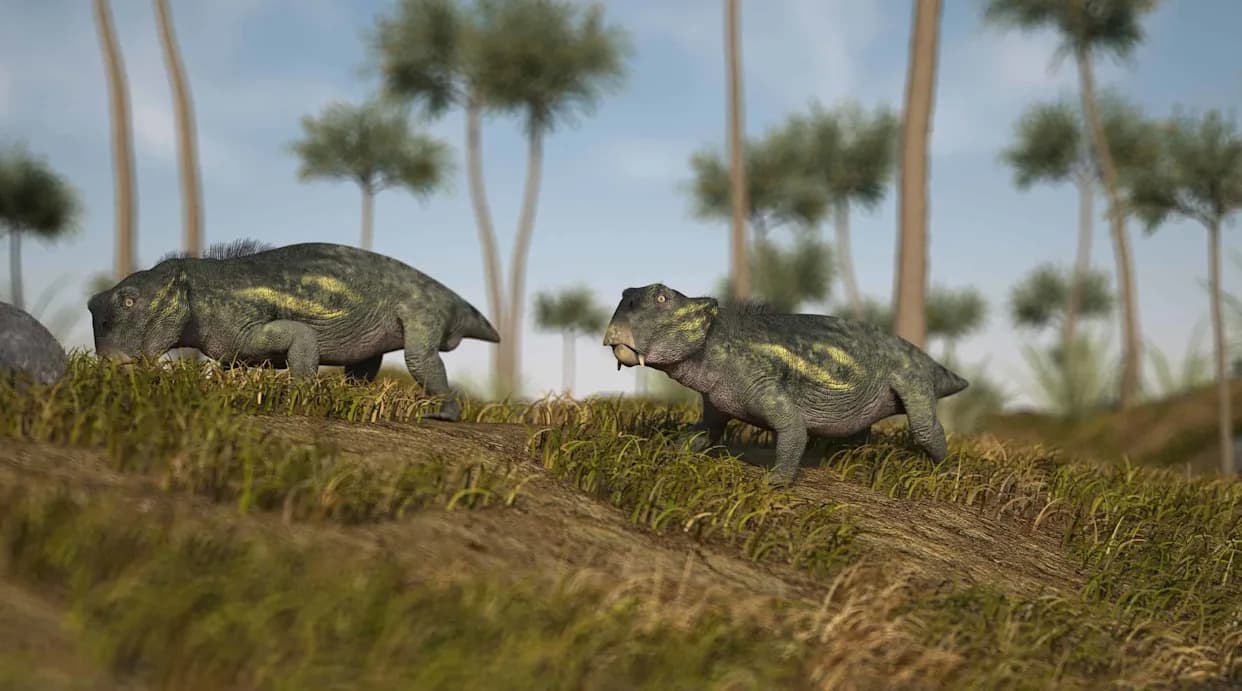 Hidden for 18 Years: X‑Rays Reveal a 250‑Million‑Year‑Old Lystrosaurus Egg with a Juvenile Inside