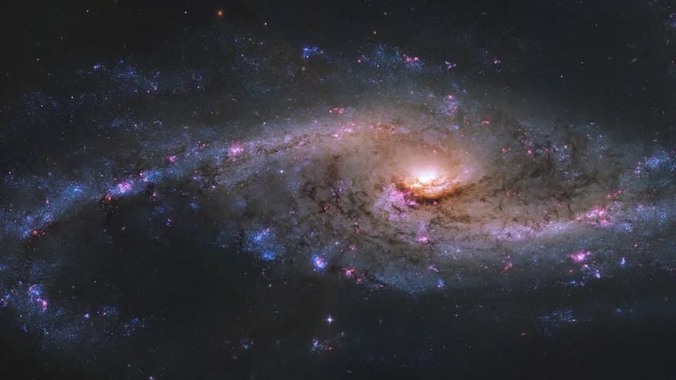 When Galaxies Stop the Party: EMBERS I Reveals Why Starbursts Suddenly Quit