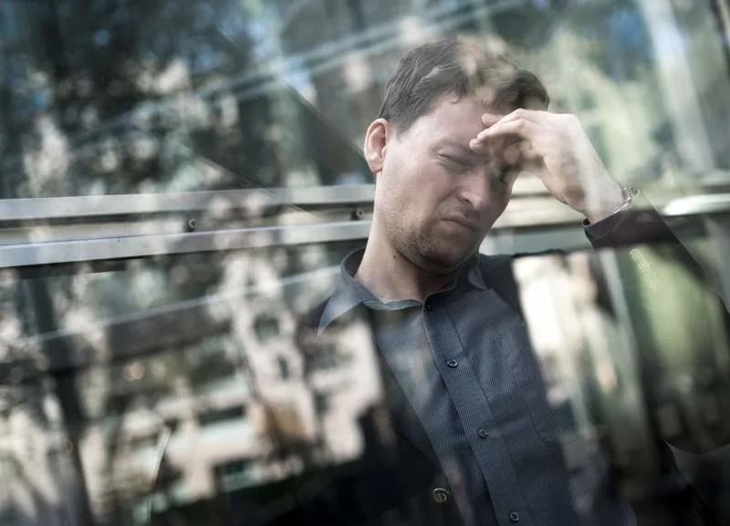 Gut Feeling: Vienna Scientists Link Microbiome Diversity and Fibre to Stress Responses