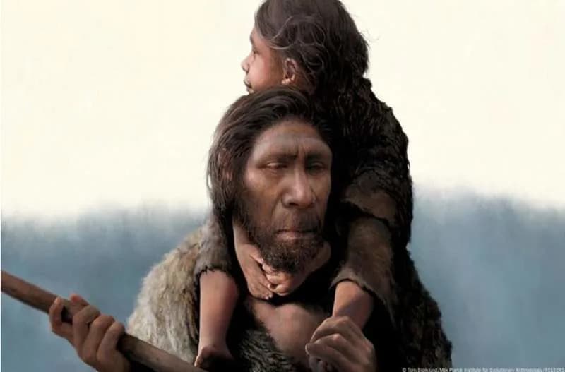 Amud 7: Near-Complete Neanderthal Infant Shows Rapid Early Growth Compared With Modern Humans