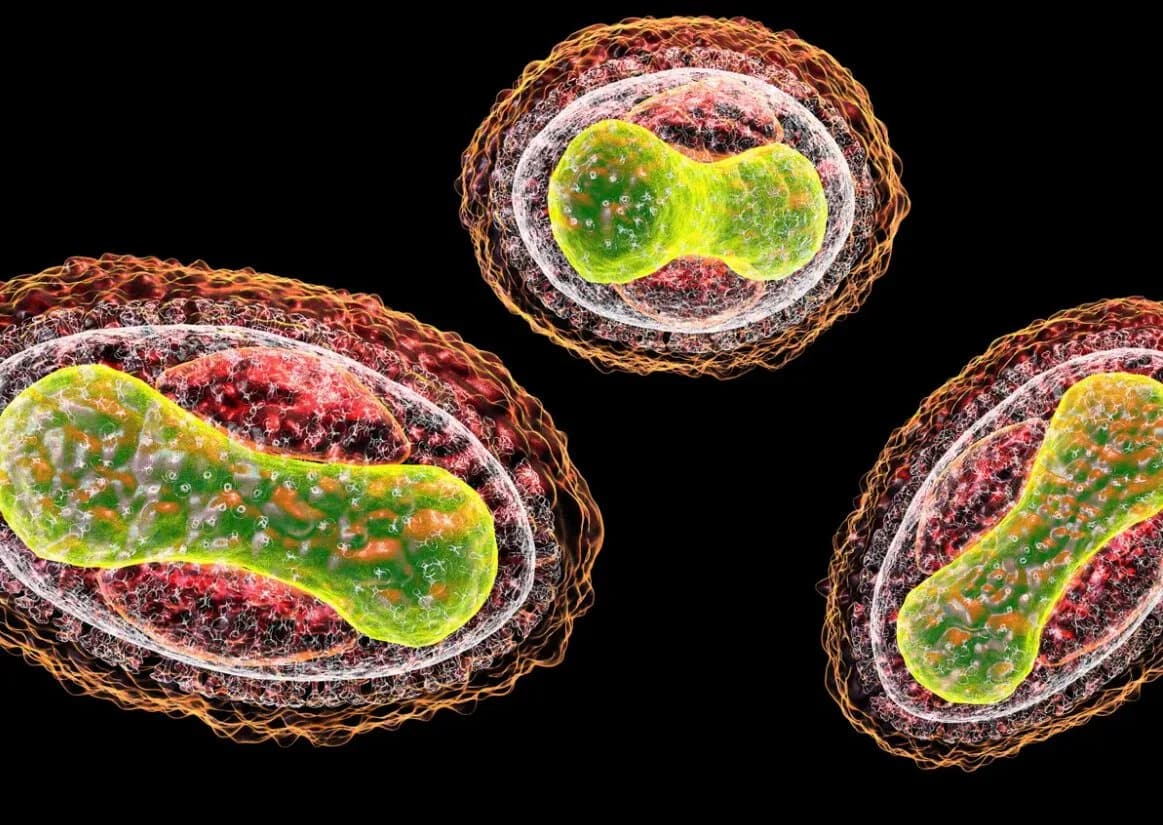 Mainstream AI Chatbots Can Aid Bioweapon Development, Researchers Warn