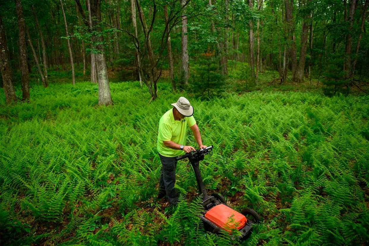 Did the FBI Secretly Recover Civil War Gold at Dents Run? New DOJ Files Deepen the Mystery