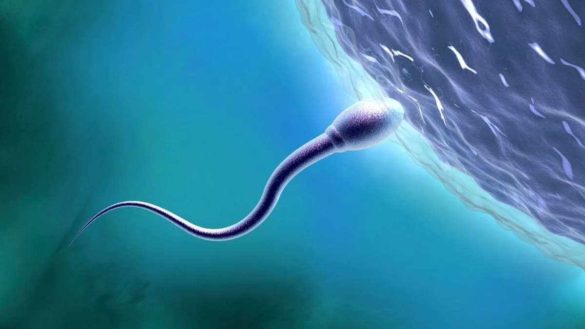 Hidden Global Fertility Crisis: Scientists Link Chemical Pollution and Climate Stress to Declines in Humans and Wildlife