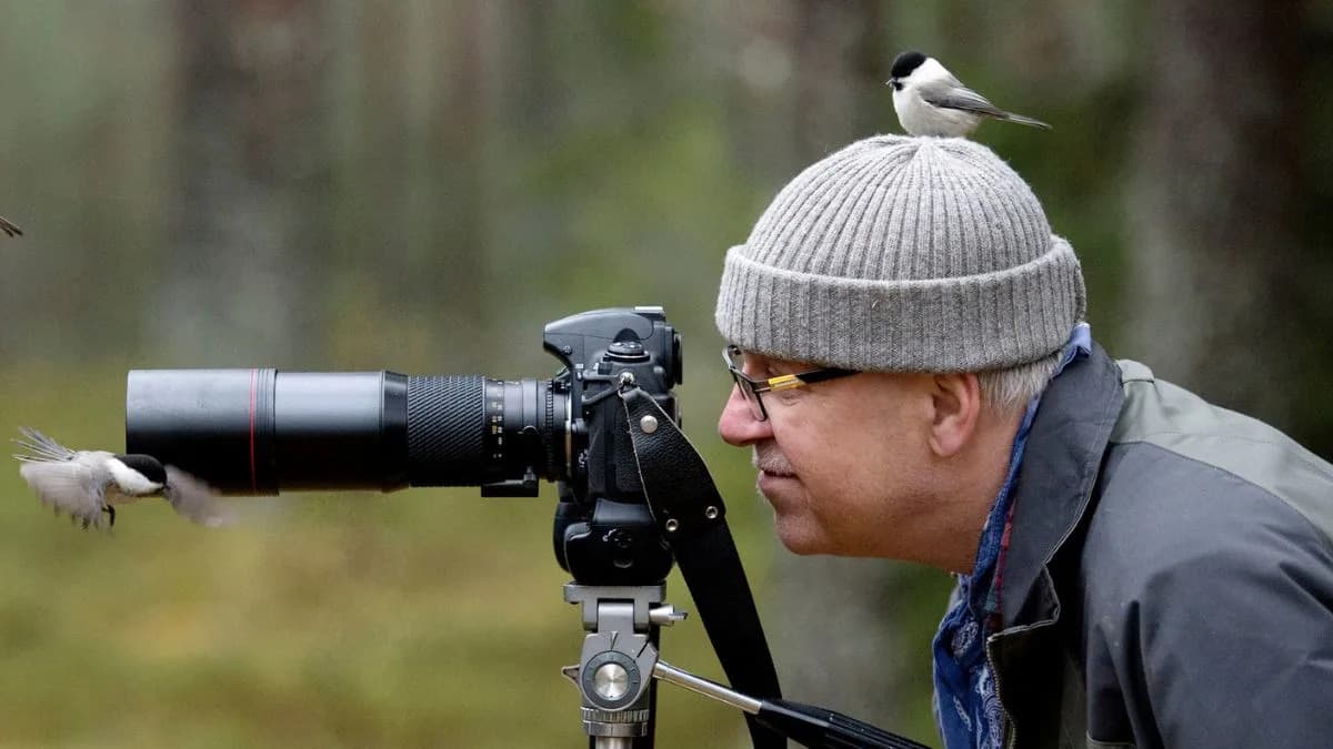 Why Urban Birds Flee Women Sooner Than Men: New Study Across Five Countries