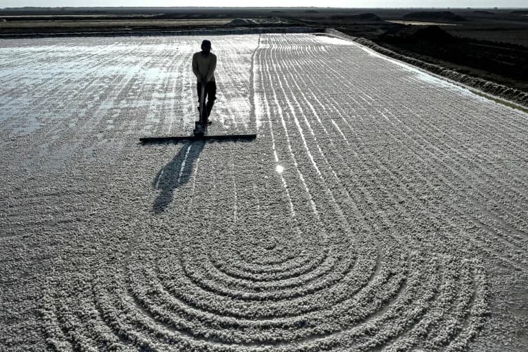No Trees, No Fans: How Gujarat’s 50,000 Salt-Pan Workers Endure Brutal 45–48°C Heat