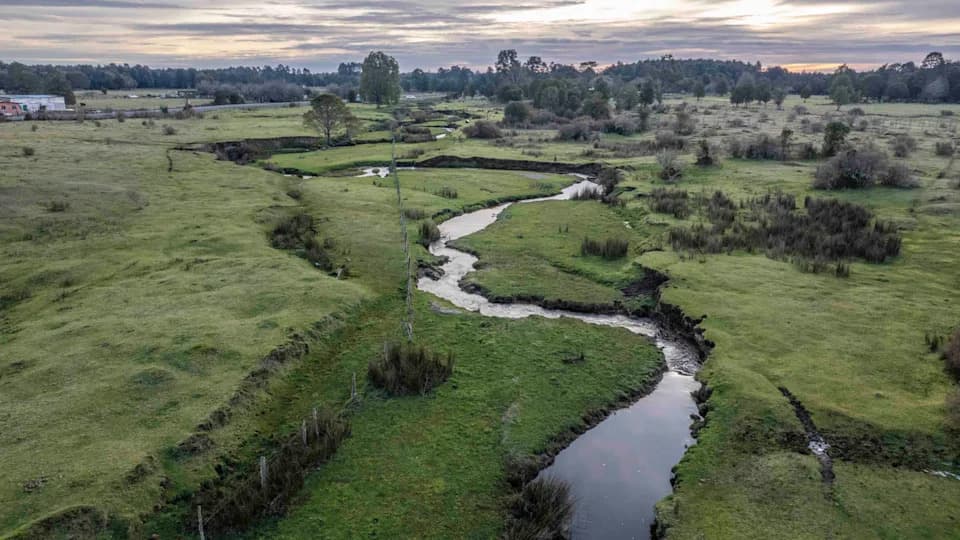 “Speculation” and an “Egregious Failure”: 30 Experts Rebuke Study That Re-Dated Monte Verde
