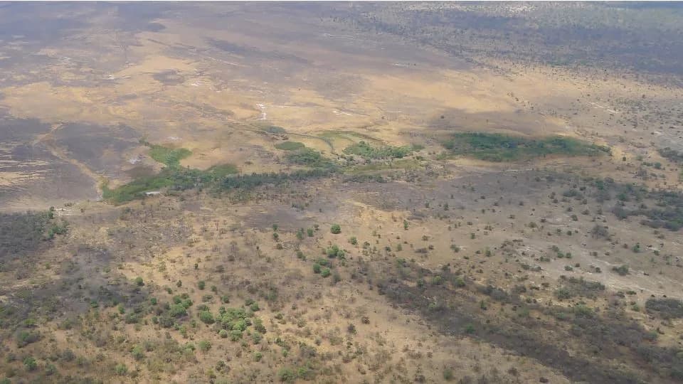 New Rift Rising? Geochemical Evidence Suggests Kafue Rift May Be Evolving Into A Plate Boundary