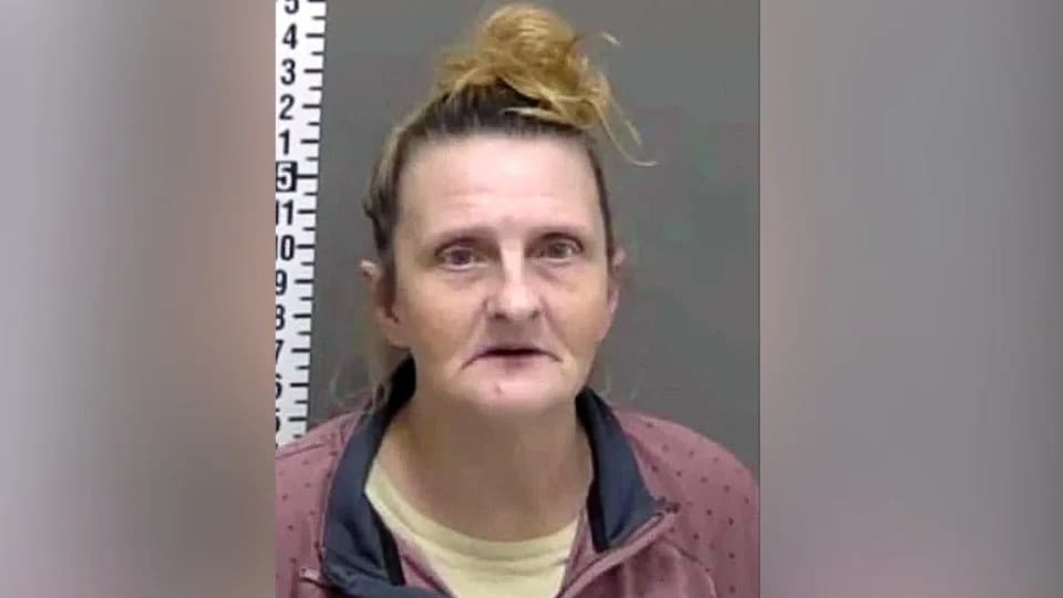 Facial Recognition Mistake Sends Tennessee Grandmother to Jail for Five Months — Charges Dropped