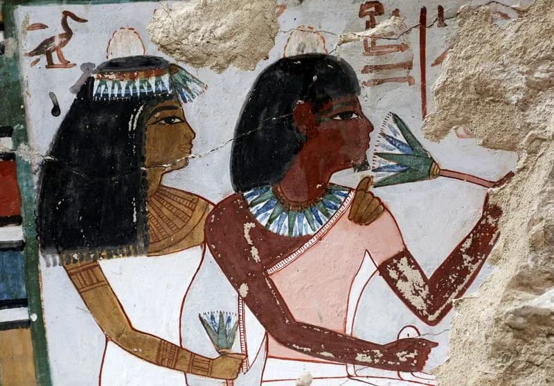 Egypt Displays Tutankhamun's Original Plaster Sealing Wall and Reopens Two Restored New Kingdom Tombs in Luxor