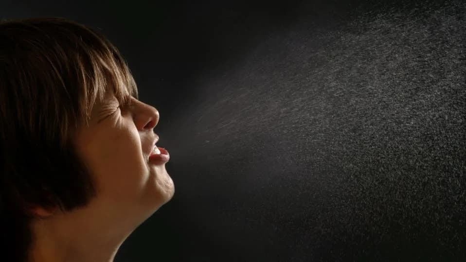 Why Do We Sneeze? The Evolution, Mechanics, and the Photic “ACHOO” Reflex