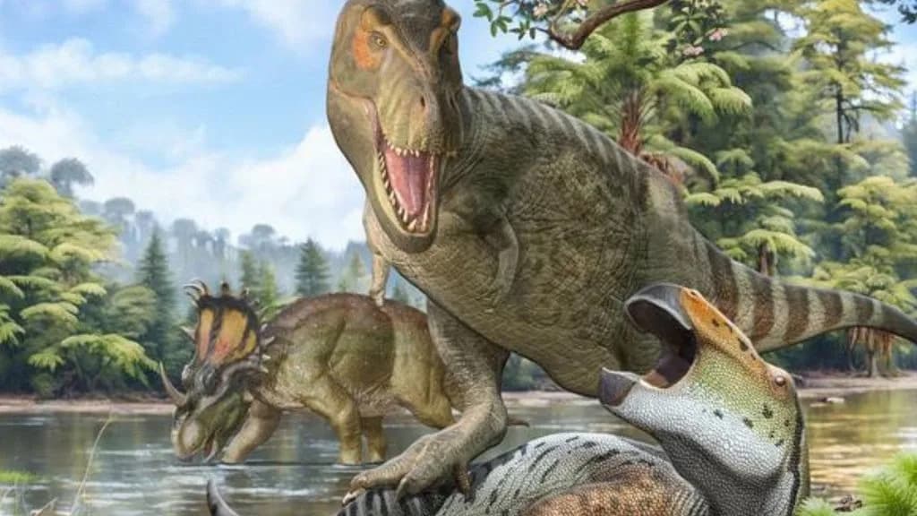 New Study: T. rex's Tiny Arms May Have Evolved to Avoid Lethal Bites During Group Feeding
