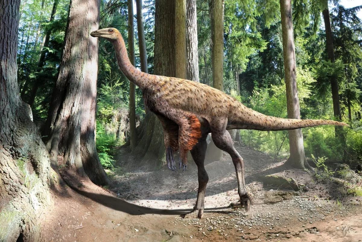 80-Million-Year-Old 'Ostrich-Like' Dinosaur Tail Bone Discovered Off Canada's Pacific Coast