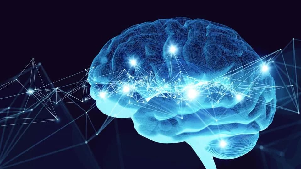 How AI Is Unraveling the Mystery of Human Motion — Insights from Allison Hamilos