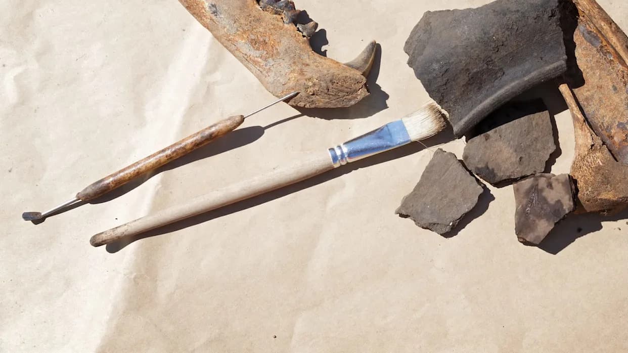 Single Fossil Jaw Rewrites History — Crocodile-Lizard Relative in Europe 30 Million Years Earlier