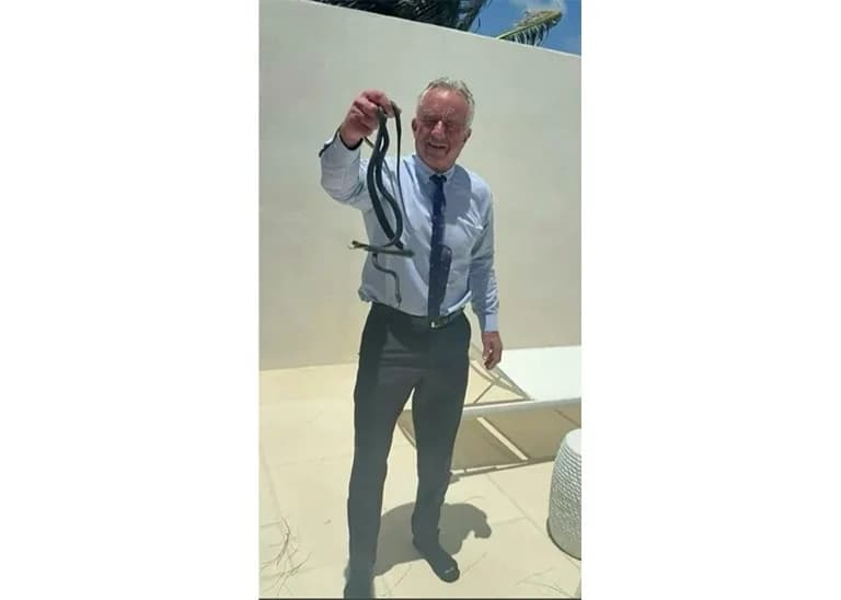 RFK Jr.'s Animal Antics Go Viral: Snakes, A Dead Bear And A ‘Brain Worm’