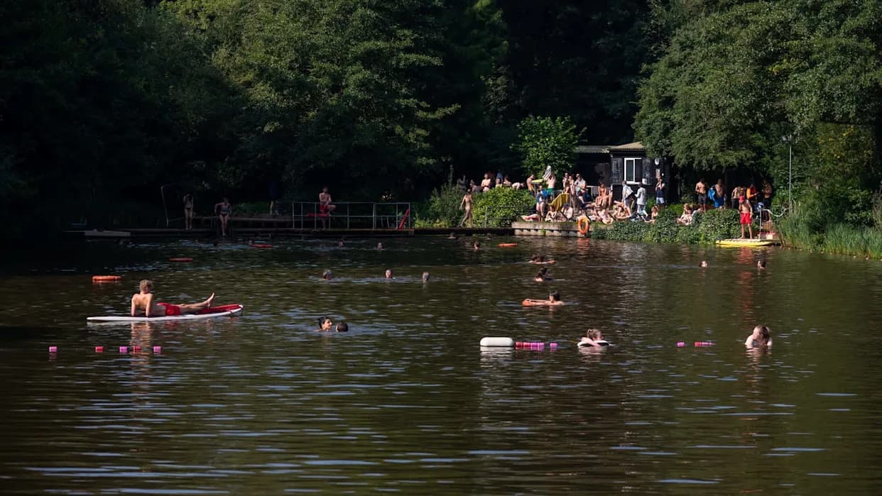 Heatwave Chaos: Dozens Swim in Protected Hampstead Heath Pond, Disturbing Nesting Birds