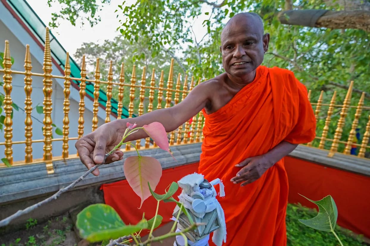Senior Sri Lankan Monk Suspended After Child Sex Abuse Allegation at Sacred Jaya Sri Maha Bodhi