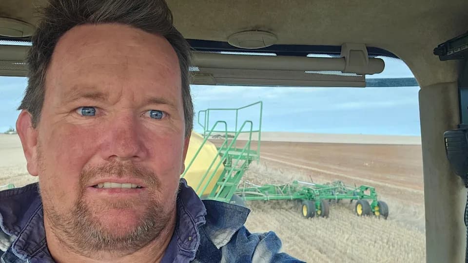 ‘Like a Decaying Body’: Mouse Plague Devastates Farms Across Western and South Australia